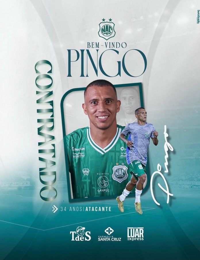 Pingo